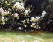 Magnolias - 约翰·辛格·萨金特